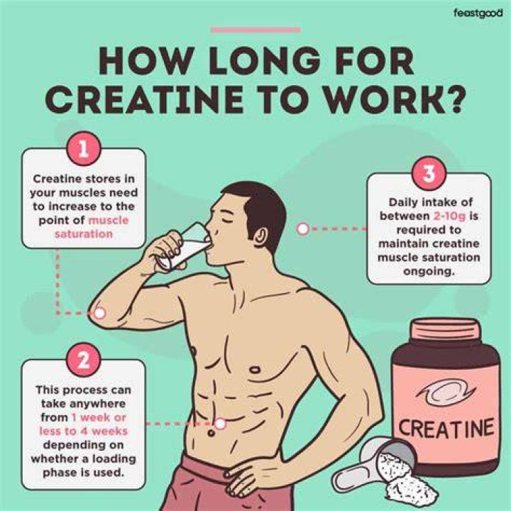 How long should I stay on creatine?