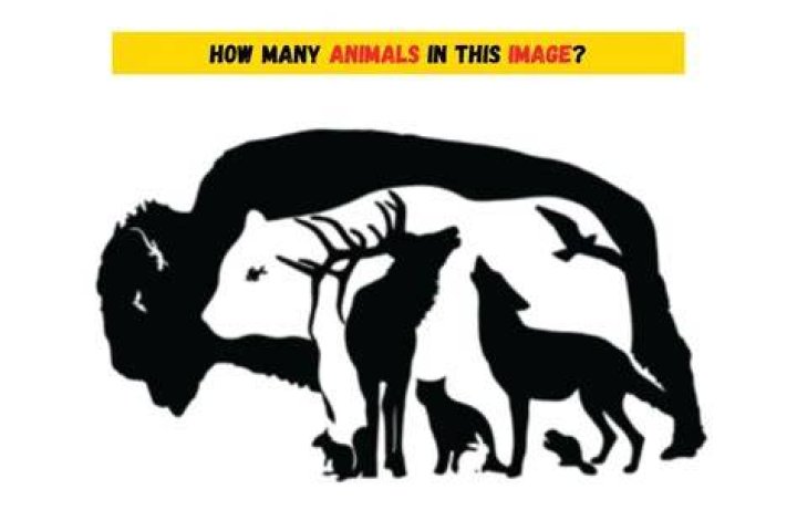 How many animals are there riddle?