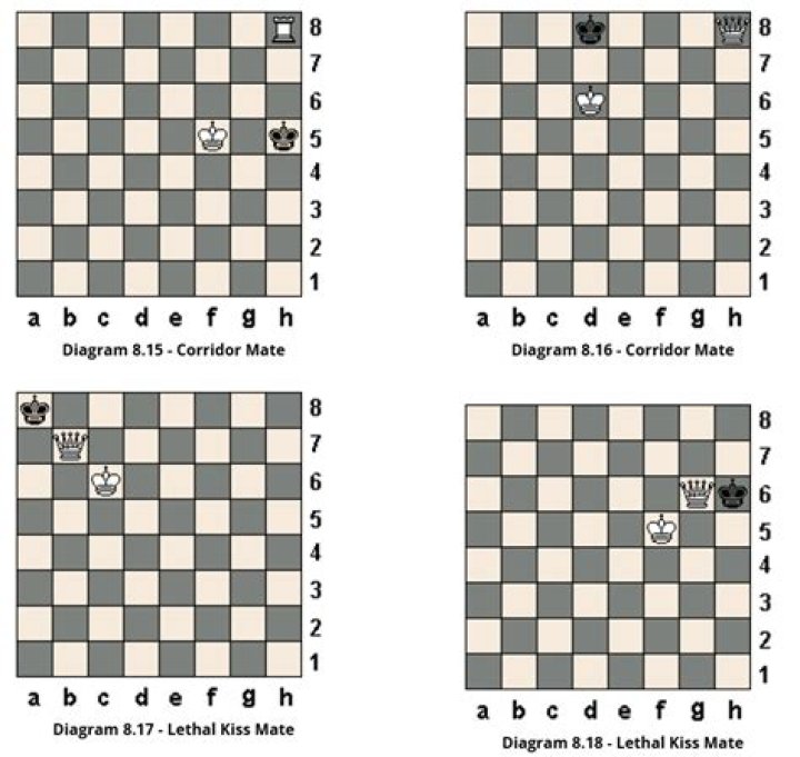 How many Checkmates are allowed in chess?