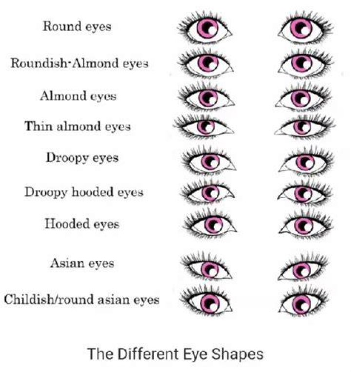 How many eyes do I have?