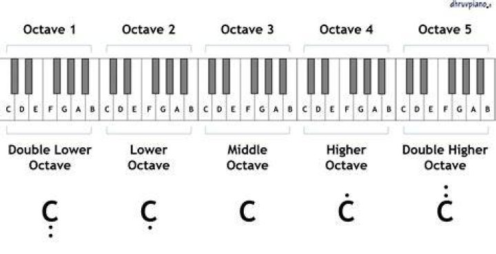 How many octaves are in an oud?