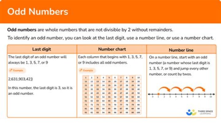 How many odd numbers are there in 40?