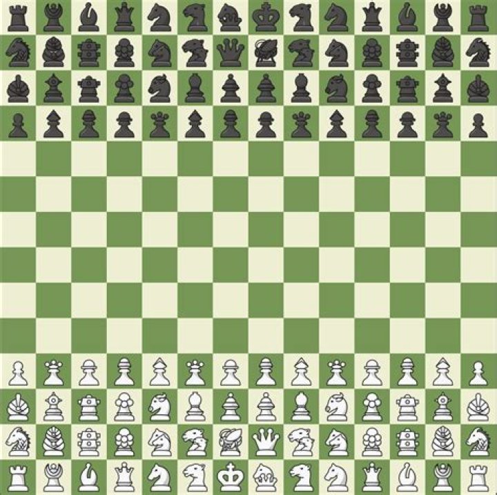 How many pieces are in Taikyoku shogi?