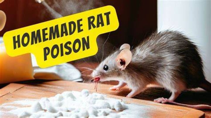 How many rats to figure out poisoned bottle?
