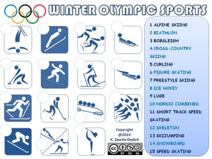 How many sports are in the Winter Olympics?