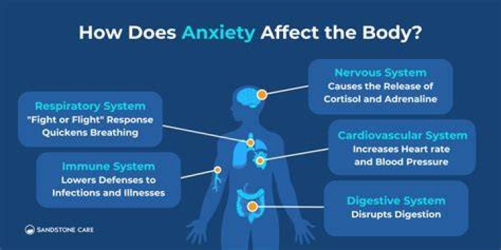 How many stages does anxiety have?