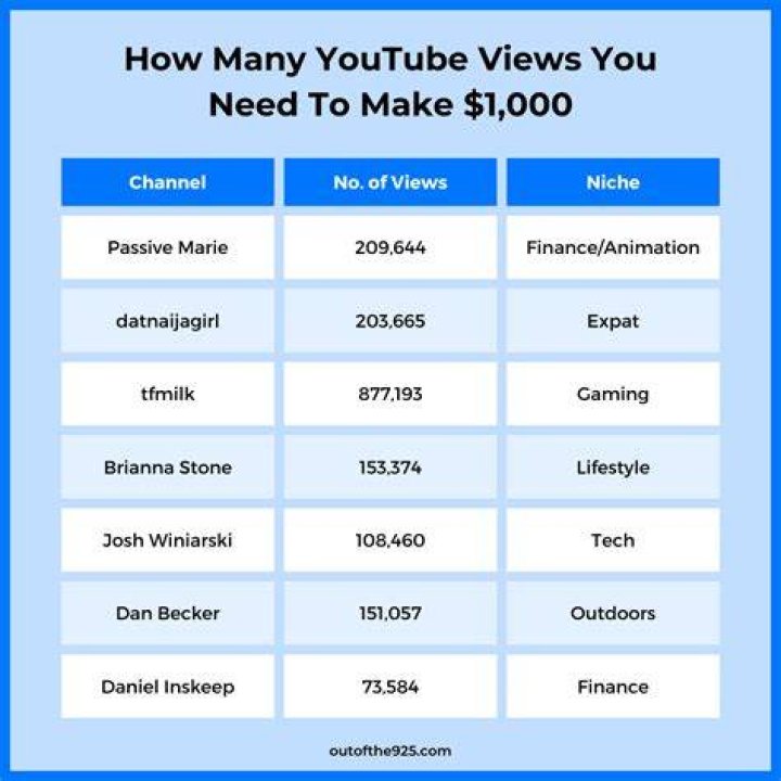How much does a 1000 views make?