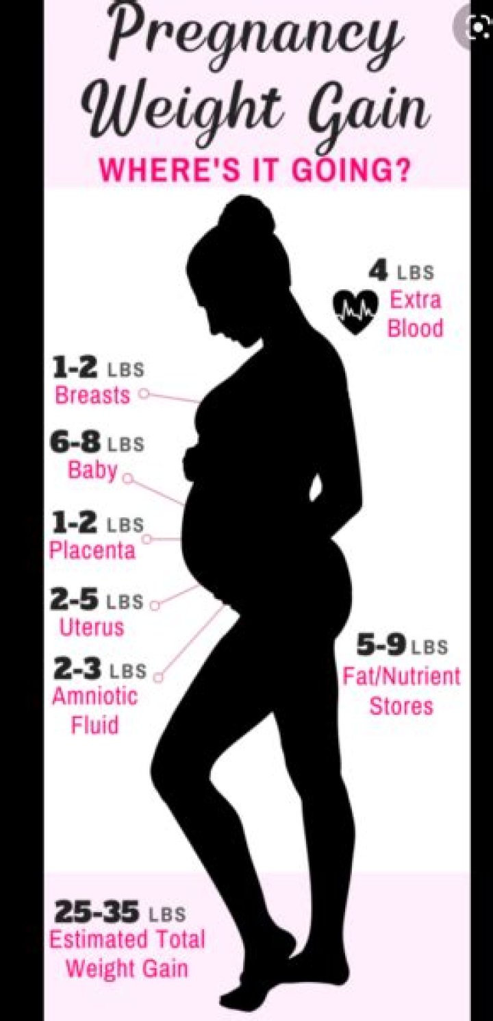 How much does a placenta weigh?