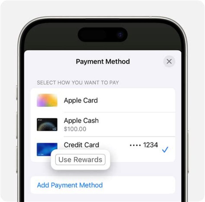 How much does Apple pay if you find a bug?