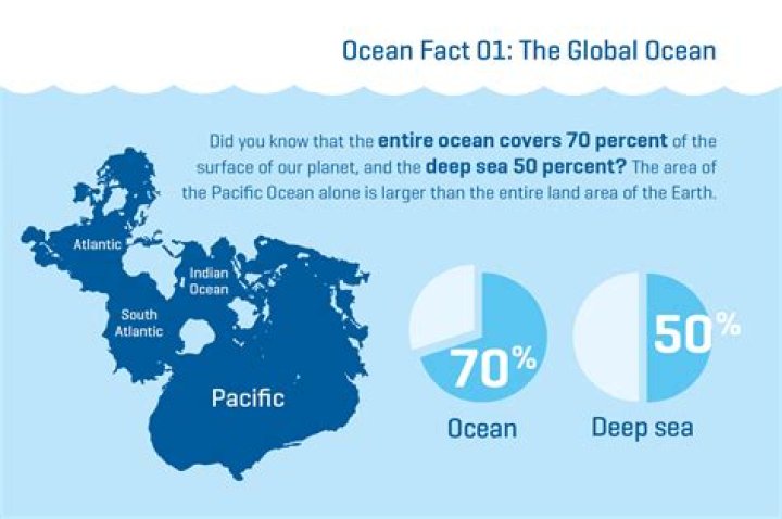 How much of the ocean is undiscovered 2020?