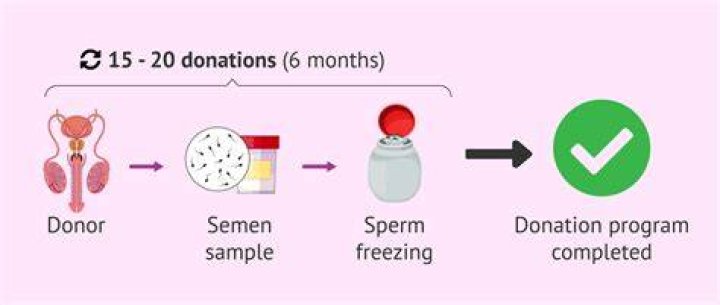 How often can you donate sperm?