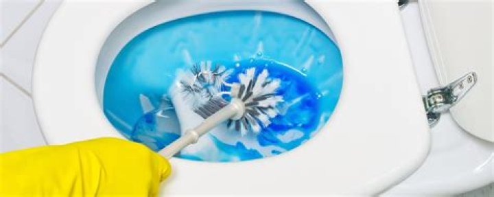 How often should you clean a toilet?