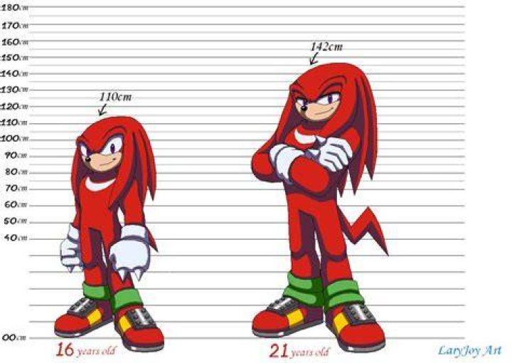 How old is Knuckles in Sonic Heroes?