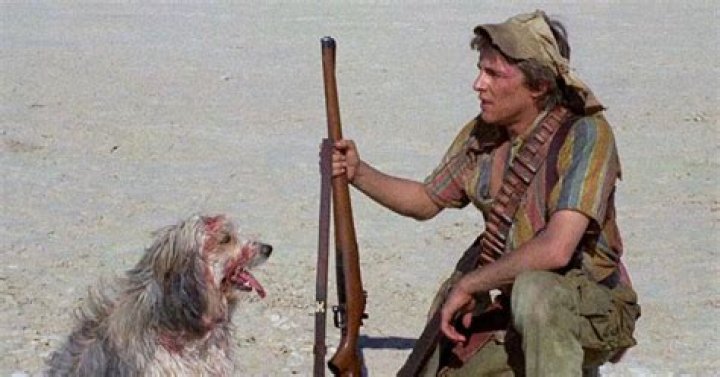 How old was Don Johnson when he filmed a boy and his dog?