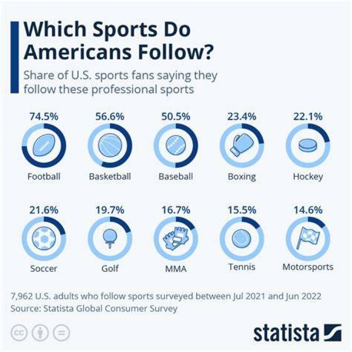 How popular is hockey in USA?
