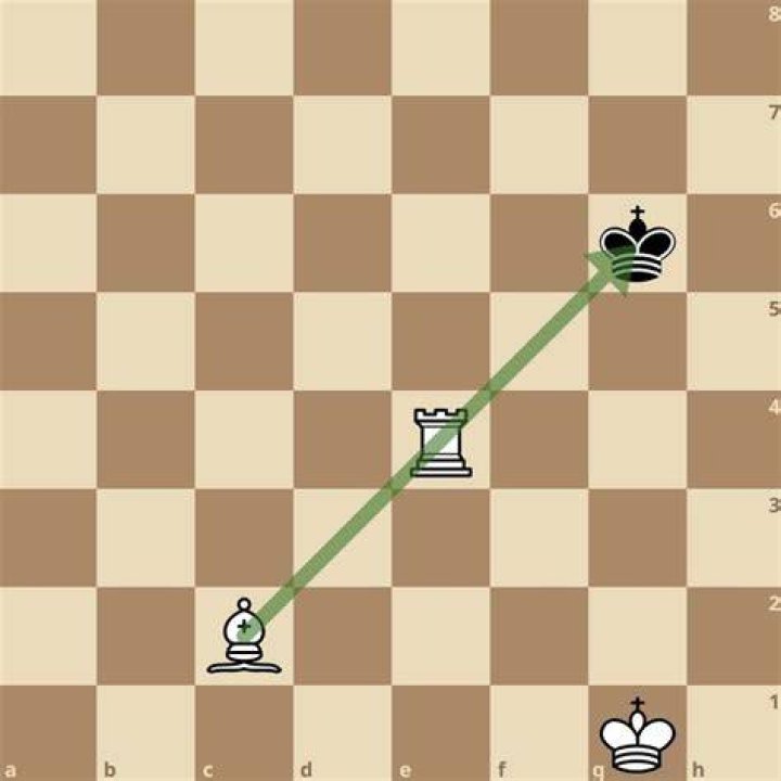 How to block a check in chess?