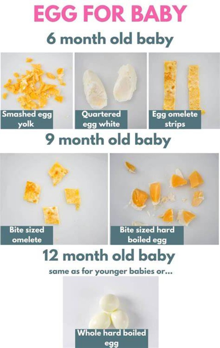 【How-to】Can i give my 9 month old scrambled eggs