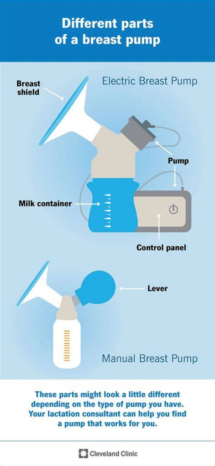 【How-to】Can you use a breast pump on a dog