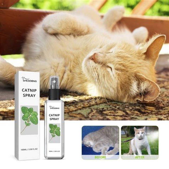 【How-to】Does catnip spray work - Howto.org
