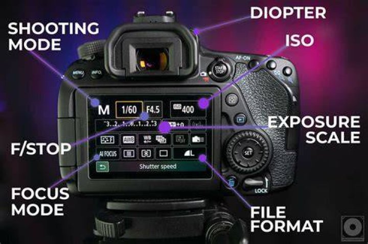 【How-to】Does eos utility work with nikon