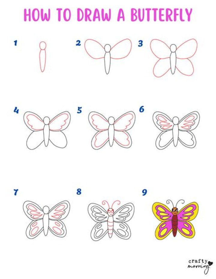 How to Draw a Brain: a Step by Step Easy Guide