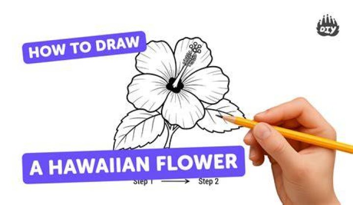 How to Draw a Hawaiian Flower in Just 7 Easy Steps