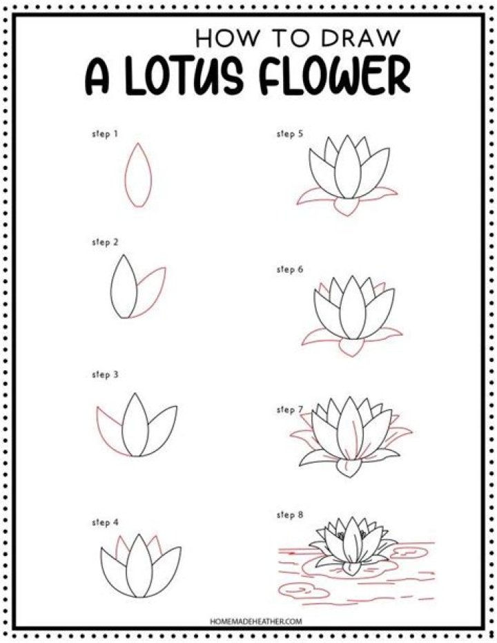 How to Draw a Lotus Flower: Make a Nice flower in 5 Steps