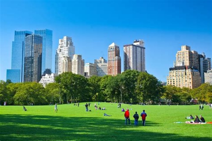 【How-to】How big is central park in new york