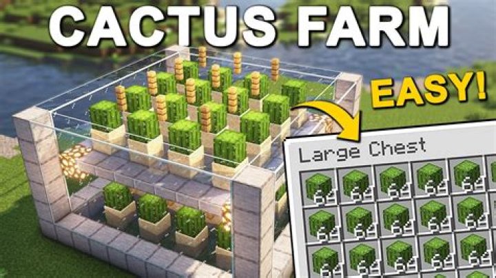 【How-to】How do you farm cactus in terraria
