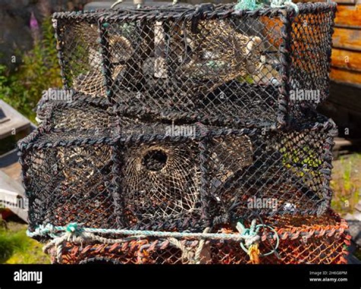 【How-to】How long do crab cages stay in the water
