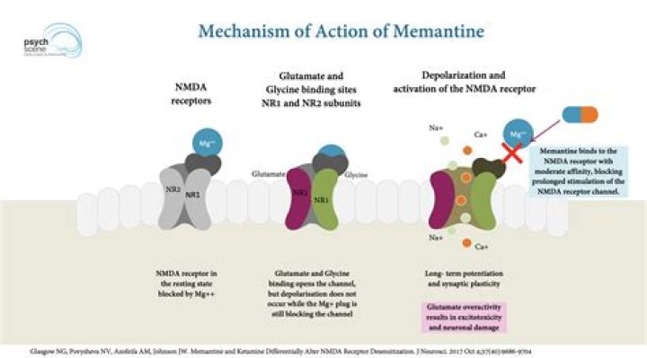 【How-to】How long does memantine work for
