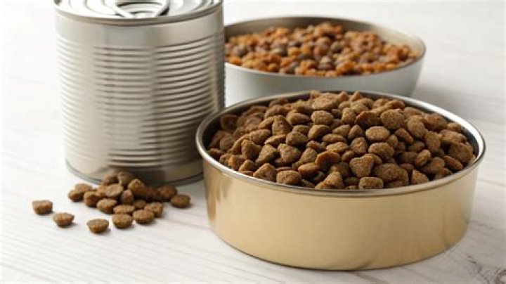 【How-to】How much canned dog food equals dry food