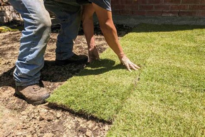 【How-to】How much is grass per square foot