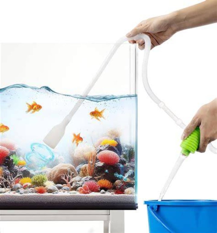 【How-to】How to change water in fish tank
