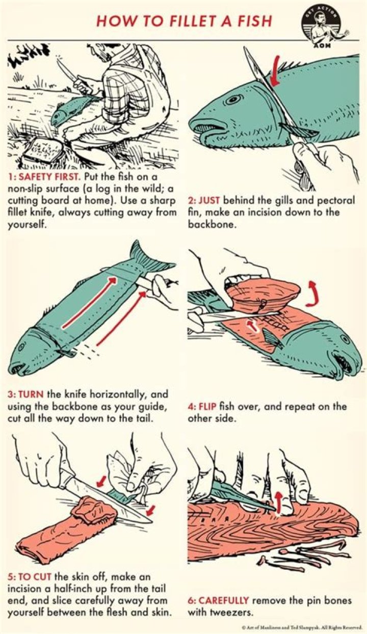 【How-to】How to Fillet a Perch
