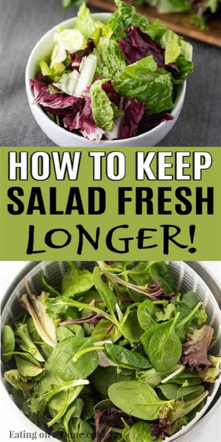 【How-to】How to Keep Salad Fresh