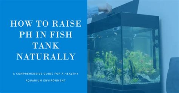 【How-to】How to Raise the pH of a Fish Tank