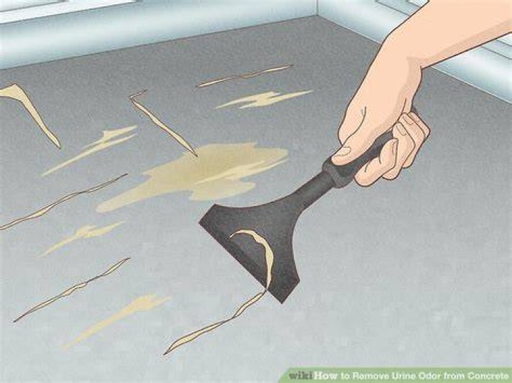 【How-to】How to Remove Urine Odor from Concrete
