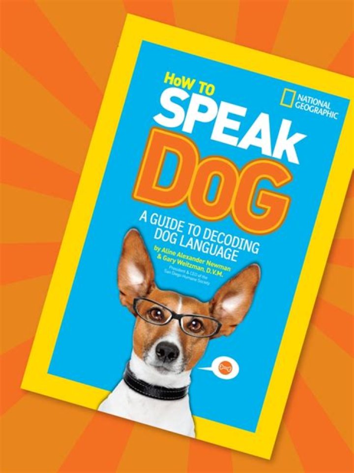 【How-to】How to speak dog language