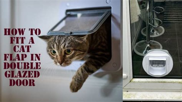 How to Install a Cat Door: DIY Step by Step Guide