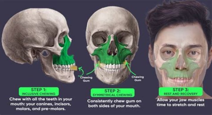 【How-to】Is chewing gum paleo - Howto.org
