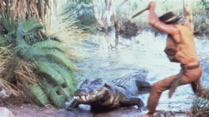 【How-to】Is crocodile dundee real - Howto.org