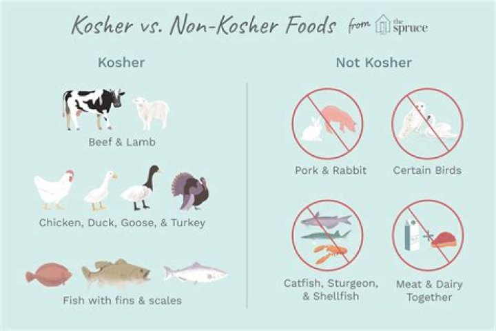 【How-to】Is it kosher to eat fish and meat together