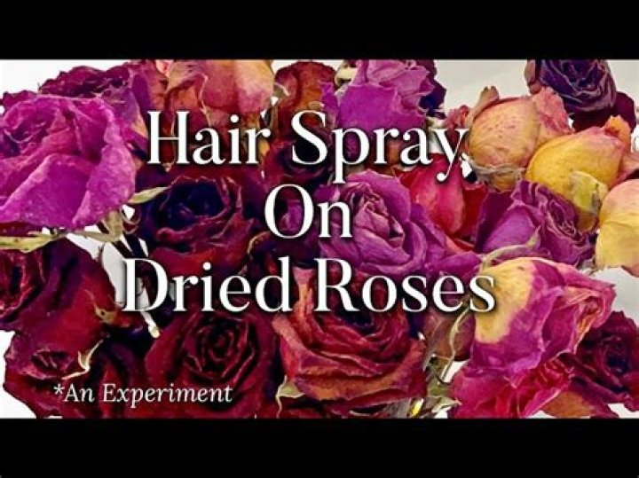 【How-to】Should you spray dried flowers with hairspray