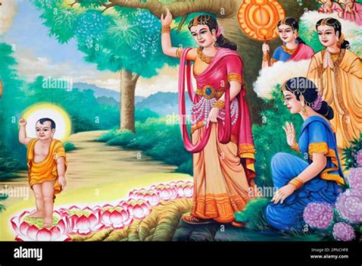 【How-to】What does siddhartha learn from the samana