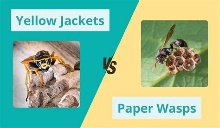 【How-to】What is a yellow element that stinks when burned