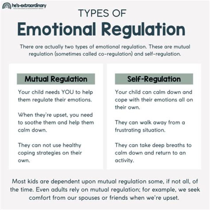 【How-to】What is self regulation in emotional intelligence