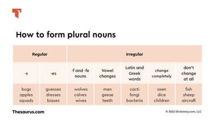 【How-to】What is the plural of hiney