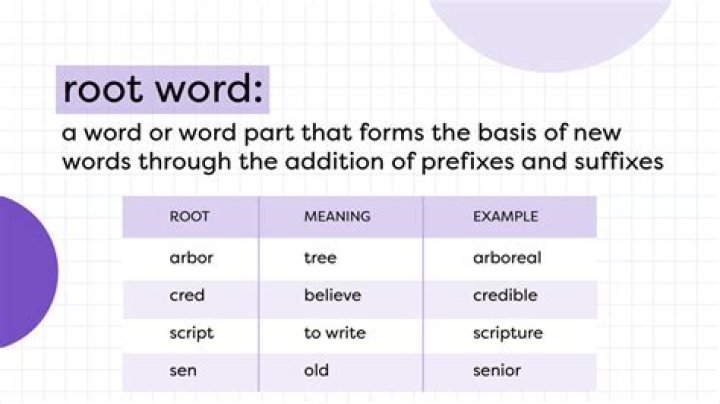 【How-to】What is the root word of office