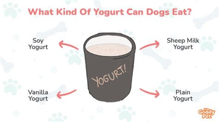 【How-to】What kind of yogurt can dogs eat
